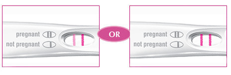 First Response Pregnancy Test, Rapid Result - 2 test